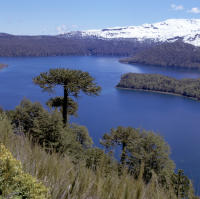 Lago Conguillío