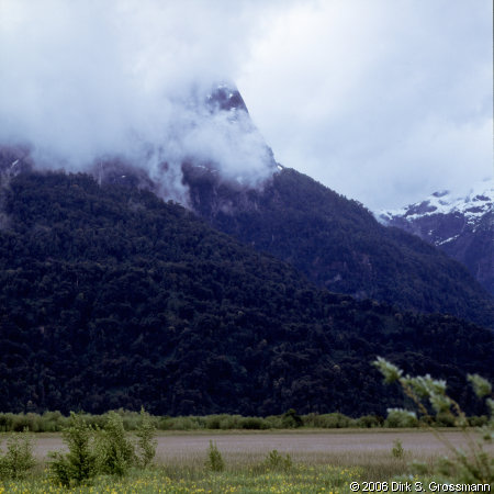 Peulla (Click for next image)