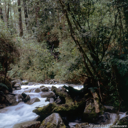 Peulla (Click for next image)