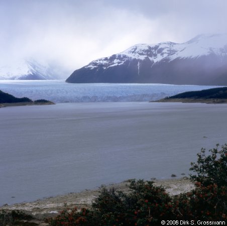 Perito Moreno (Click for next image)