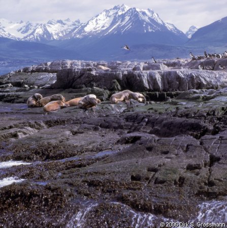 Beagle Channel (Click for next image)