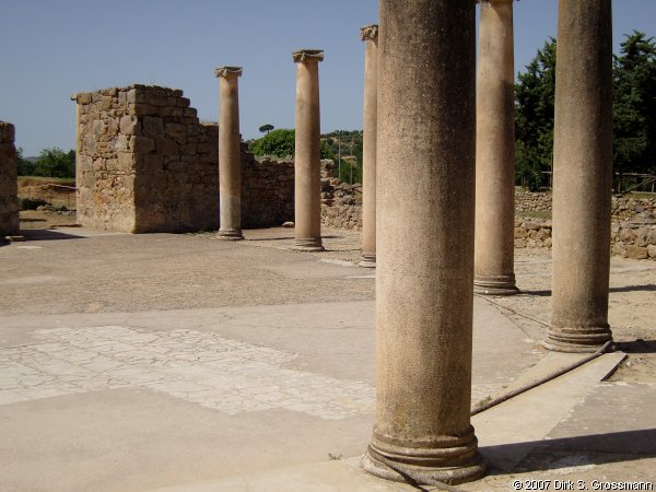 Columns (Click for next image)