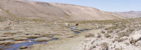 Altiplano Panorama