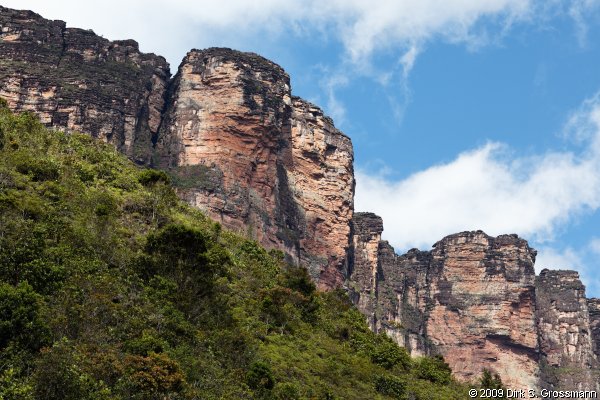 Auyan-Tepui Summit from Below (Click for next image)