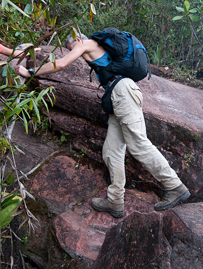 Climbing Auyan-Tepui