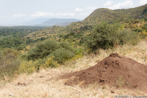 Rift Valley Wall near Karatu (Click for next group)