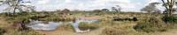 Serengeti Panorama