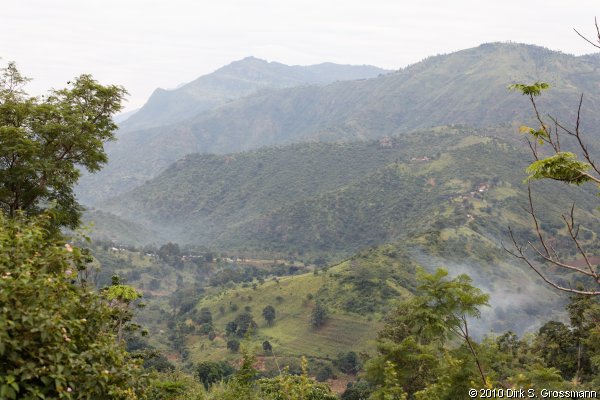 Usambara Mountains (Click for next image)