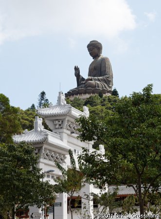 Po Lin Monastery (Click for next image)