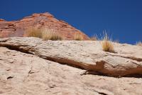Moab Fault Overlook