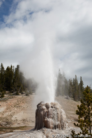 Lone Star Geyser (Click for next image)