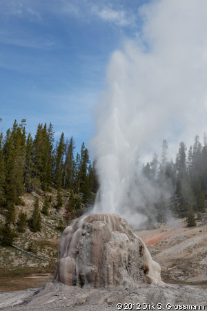 Lone Star Geyser (Click for next group)
