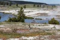 Firehole River Group