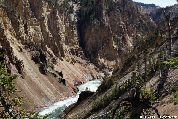 Grand Canyon of the Yellowstone (Click for next image)