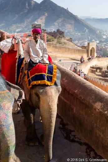 Climbing to the Amber Fort (Click for next image)