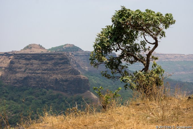 Lohagad Fort (Click for next image)