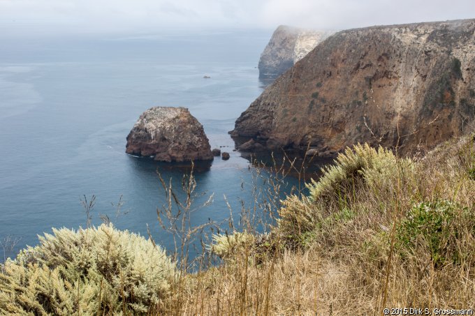 Santa Cruz Island (Click for next image)
