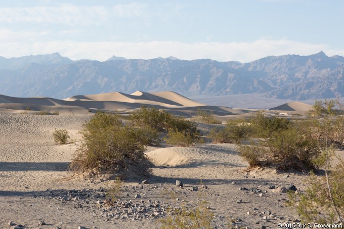Mesquite Flat Dunes (Click for next image)