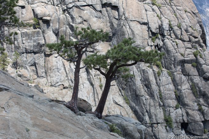 Near Upper Yosemite Falls (Click for next image)