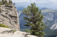 From Upper Yosemite Falls