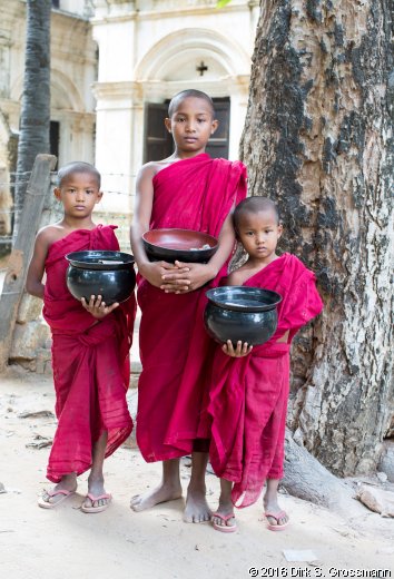 Monks at Yoke Sone Kyaung (Click for next image)