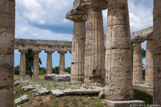 Tempio di Hera (Basilica) (Click for next image)