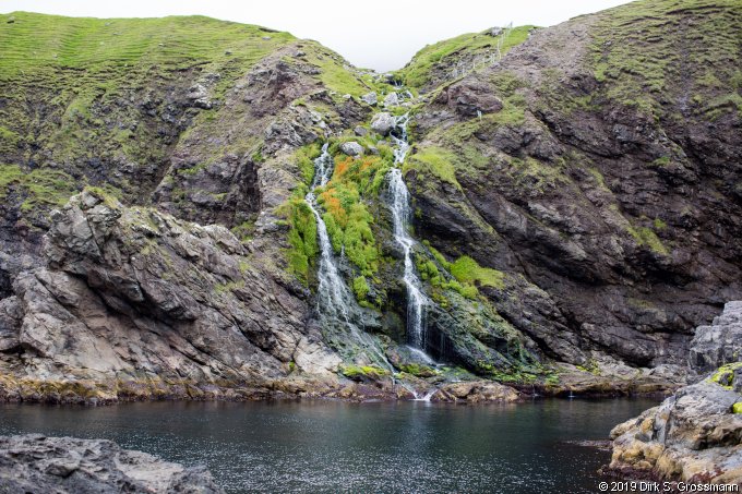 Waterfall at the Coast at Viðareiði (Click for next image)