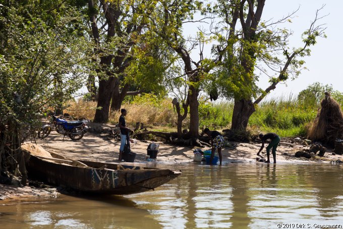 On the Gambia River (Click for next image)