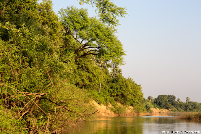 Gambia River at Wassadou (Click for next image)
