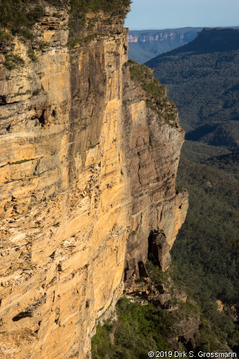 Cliff at Katoomba (Click for next image)