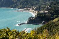 Monterosso from a Distance