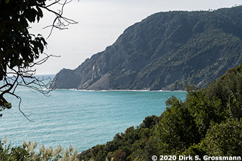 Coast near Monterosso